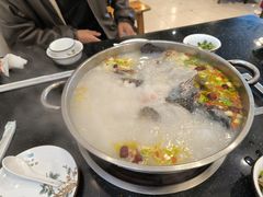 -草墩罗非鱼庄•野生菌•腊排骨(七星街上段店)