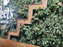 -Peet's Coffee皮爷咖啡(豫园店)