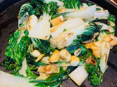 焗锅气奶白菜-小大董·烤鸭(观景餐厅·南京西路店)