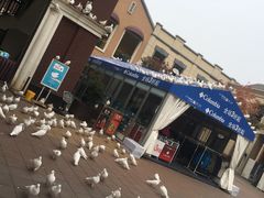 -王府井奥莱临潼小镇(临潼店)