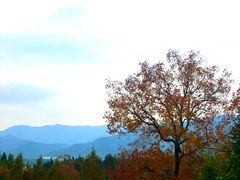 -塔川景区