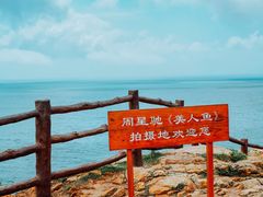 -杨梅坑
