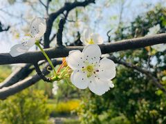 -无锡市市民中心