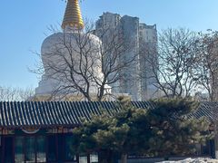 -护国法轮寺