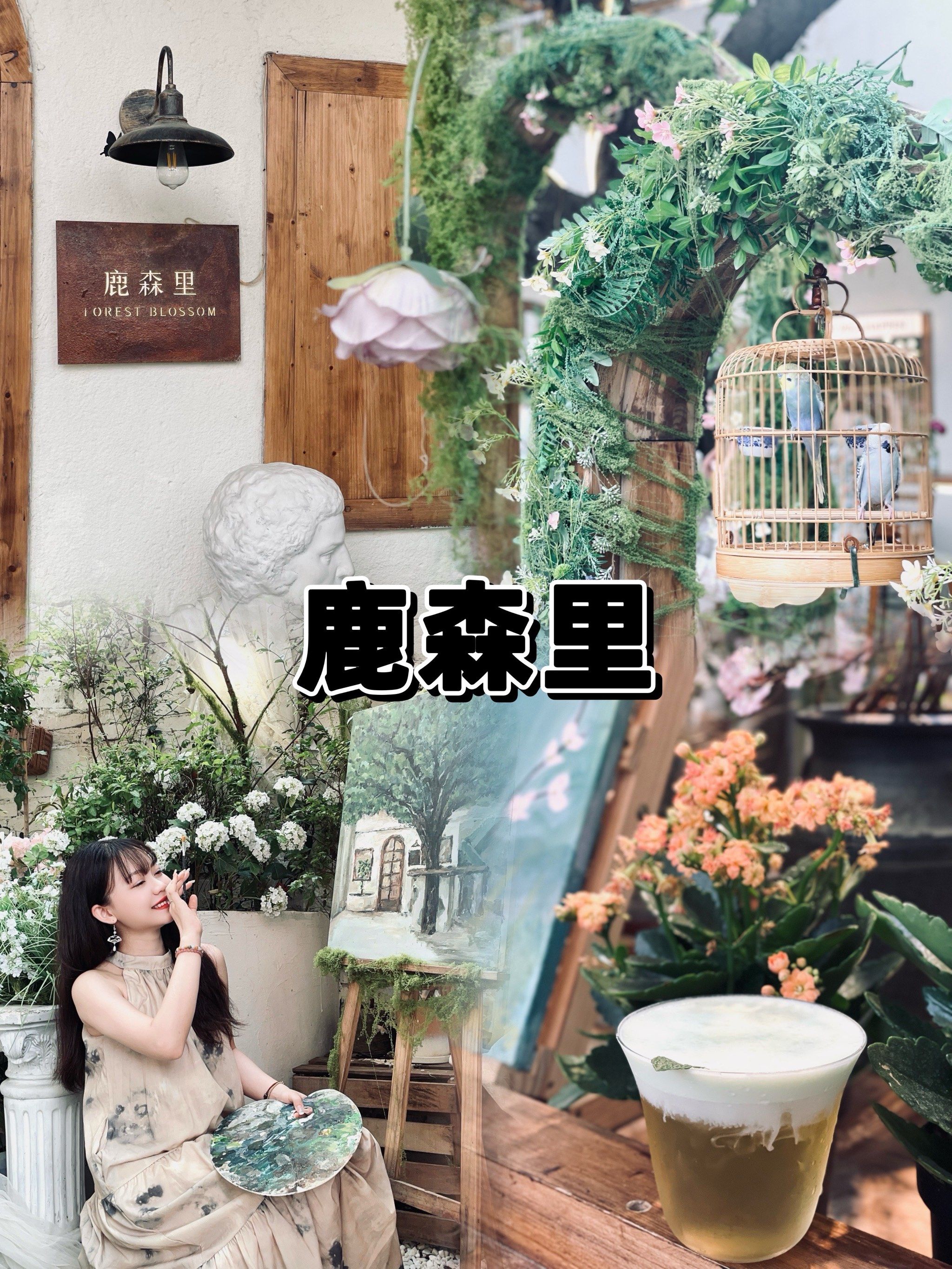 好好好看的店|鹿森里