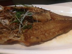 头抽煎鲩鱼腩-衡山汇·高级粤菜(霄云路店)