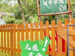 -莲花山公园