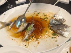 -汇华阁中餐厅·粤菜早茶(汇华希尔顿逸林酒店)