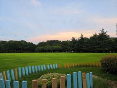 -青枫公园