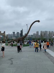 点击看大图 -恐龙探索乐园(磁器口店)