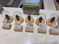 -泰合玺·精油疗愈 SPA(南京河西万达店)