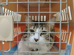 -芭比堂动物医院广州顽皮分院