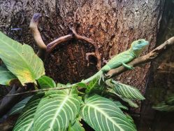 -酷嗒动物文化乐园(cutezoo西溪乐天城店)