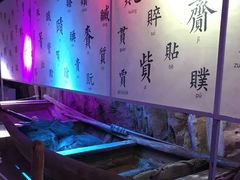 -贝壳梦幻世界