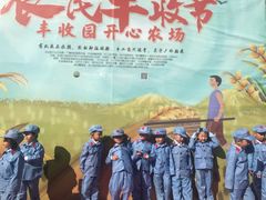 -京师双语幼儿园