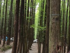 -山王坪喀斯特国家生态公园