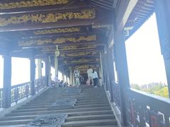 -长广溪湿地公园