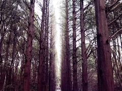 -同里国家湿地公园