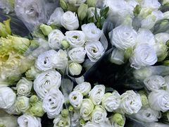 -循礼门鲜花花市(武汉循礼门店)