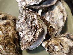 -悟烧·自助烤肉料理(秋林旗舰店)