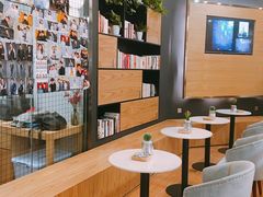 -海马体照相馆|大师(武汉光谷K11店)