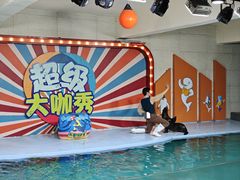 -南昌海洋公园