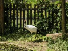 -上方山森林动物世界