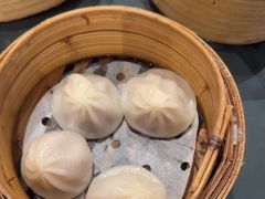 -食为先(Shark Fin)