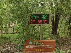 -同里国家湿地公园