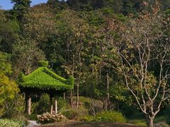-云溪植物园