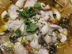 -阿英煲(凉城路店)