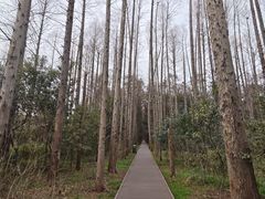 -同里国家湿地公园