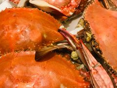 -金海湾海鲜总店