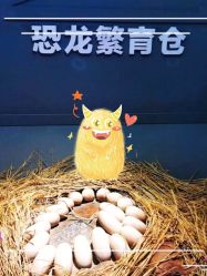 -恐龙探索乐园(磁器口店)