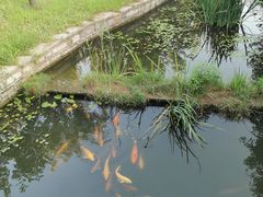 -观唐（国际）度假村温泉