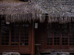 -中国茶叶博物馆(双峰馆区)