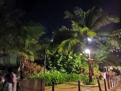 -亚马逊丛林水乐园