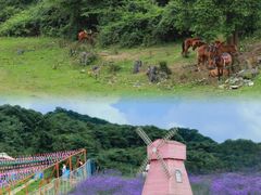 -武陵山森林公园