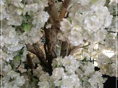 -茉莉餐厅(亳州高新万达广场希夷大道店)