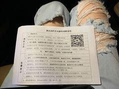 -枫花园汽车电影院(朝阳公园店)