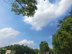 -丹东丛炟海鲜烧烤(江艺路店)