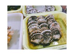 -十四涌水产中心