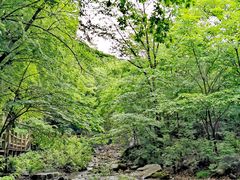 -本溪汤沟绿石谷森林公园