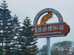 -自贡恐龙博物馆