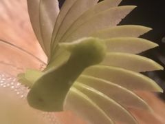 -格兰酒吧Glen Bar