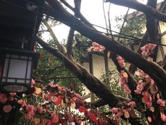 -磁器口古镇