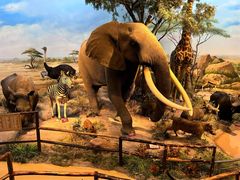 -陕西自然博物馆