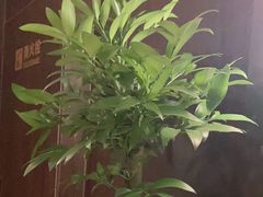 -喜湘宴·精致湖南菜(和平西桥店)