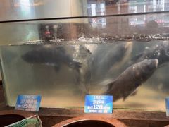 -上名堂·鱼头好吃(体育场路店)