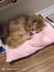 点击看大图 -沫儿·美甲美睫·半永久·皮肤管理